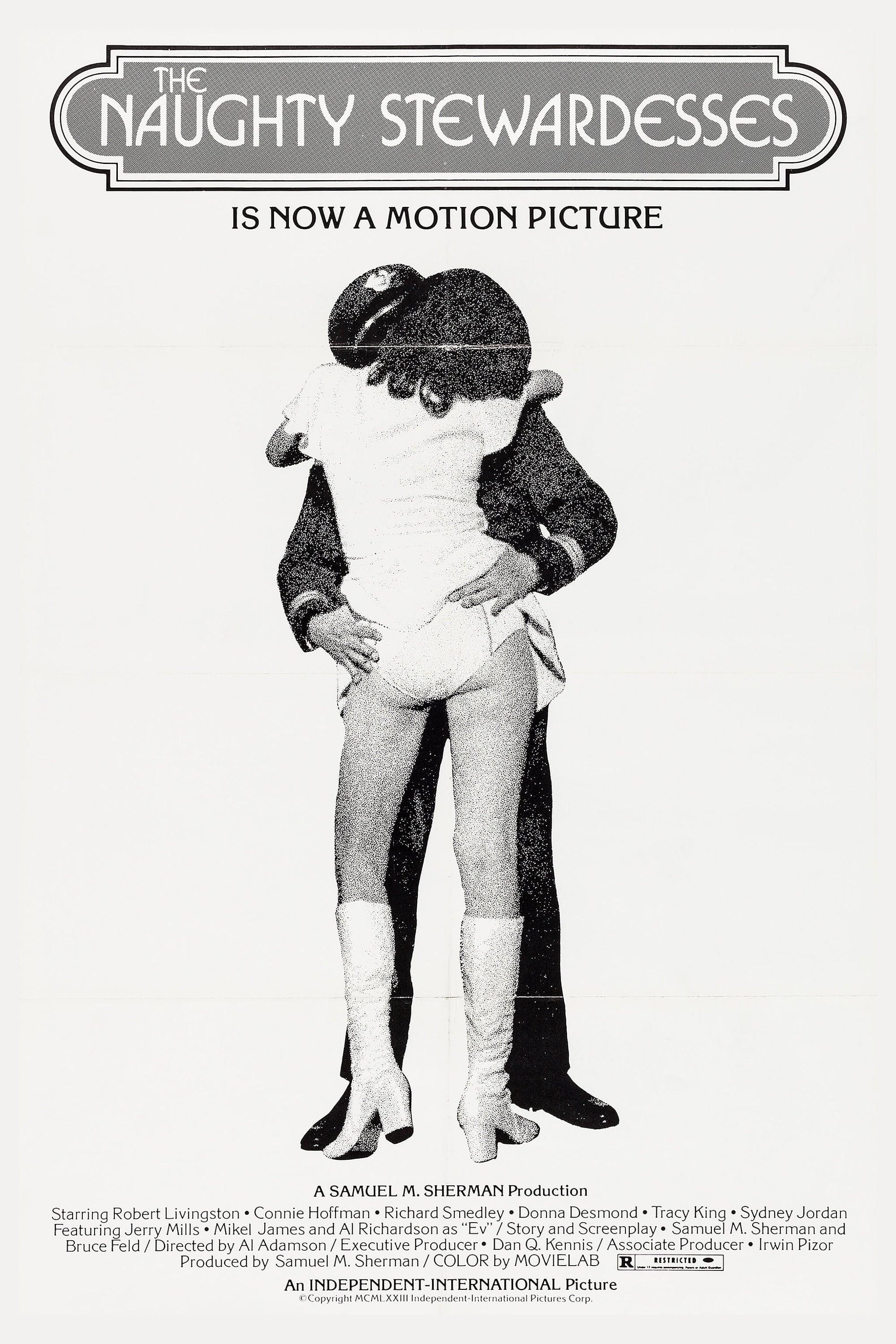The Naughty Stewardesses poster