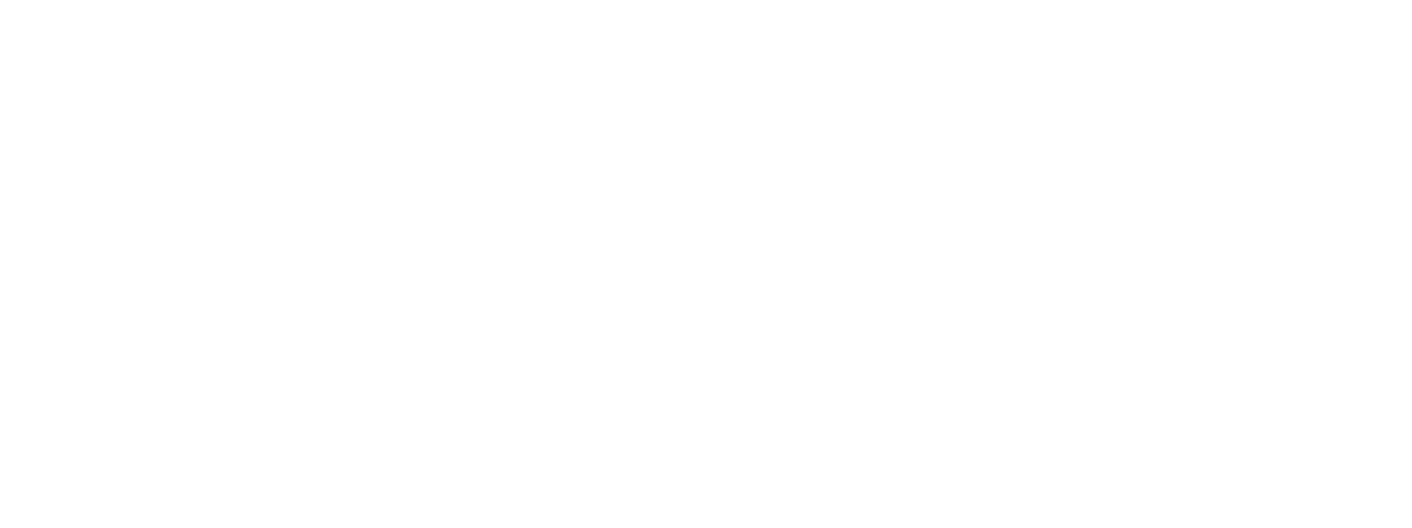 The Sentries logo
