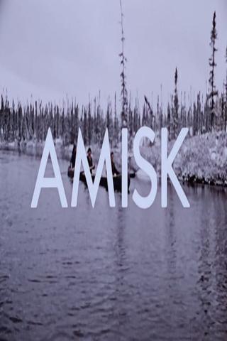 Amisk poster