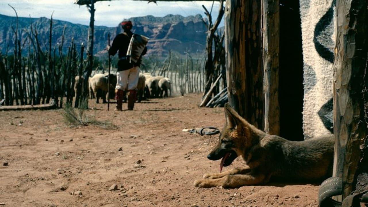 Concho, the Coyote Who Wasn't backdrop