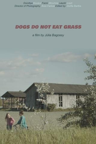 Dogs Do Not Eat Grass poster