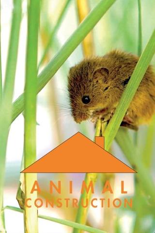 Constructions animales poster