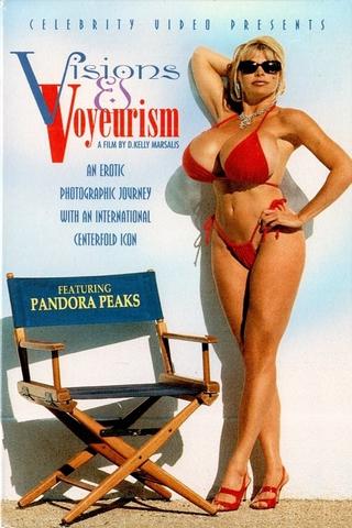 Visions and Voyeurism poster
