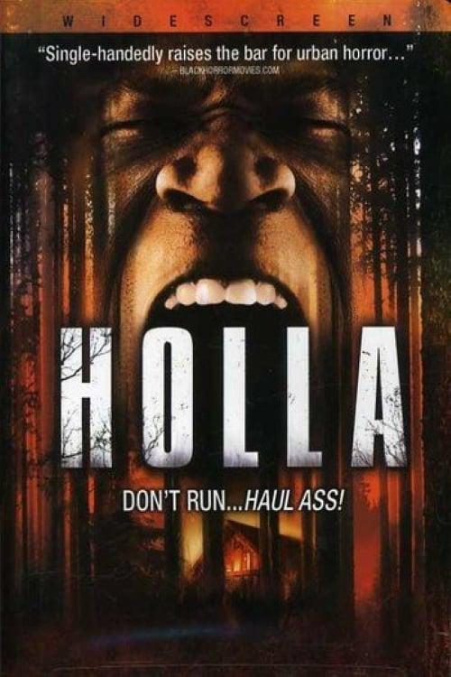 Holla poster