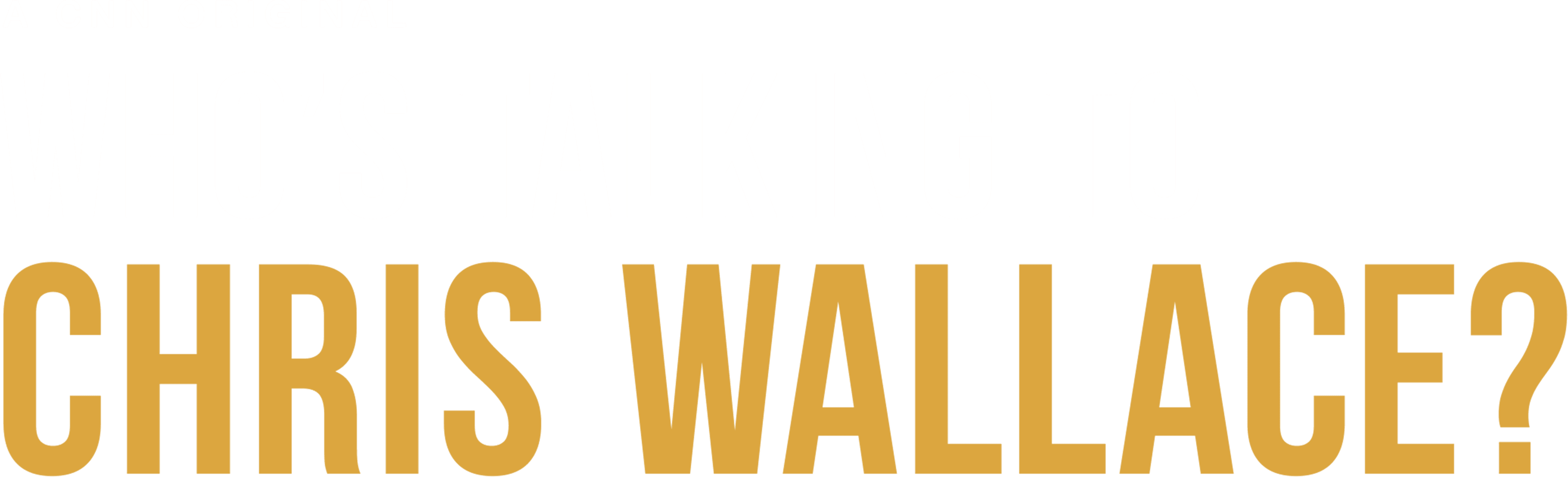 Who's Talking to Chris Wallace? logo