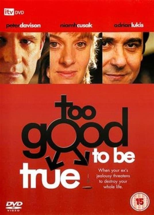 Too Good to Be True poster