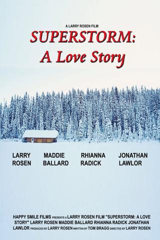 Superstorm: A Love Story poster
