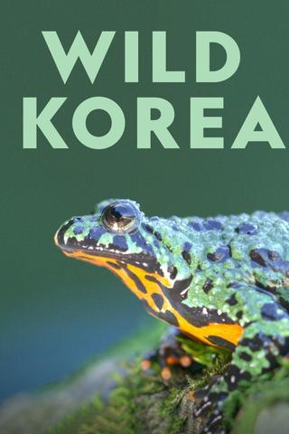 Wild Korea poster