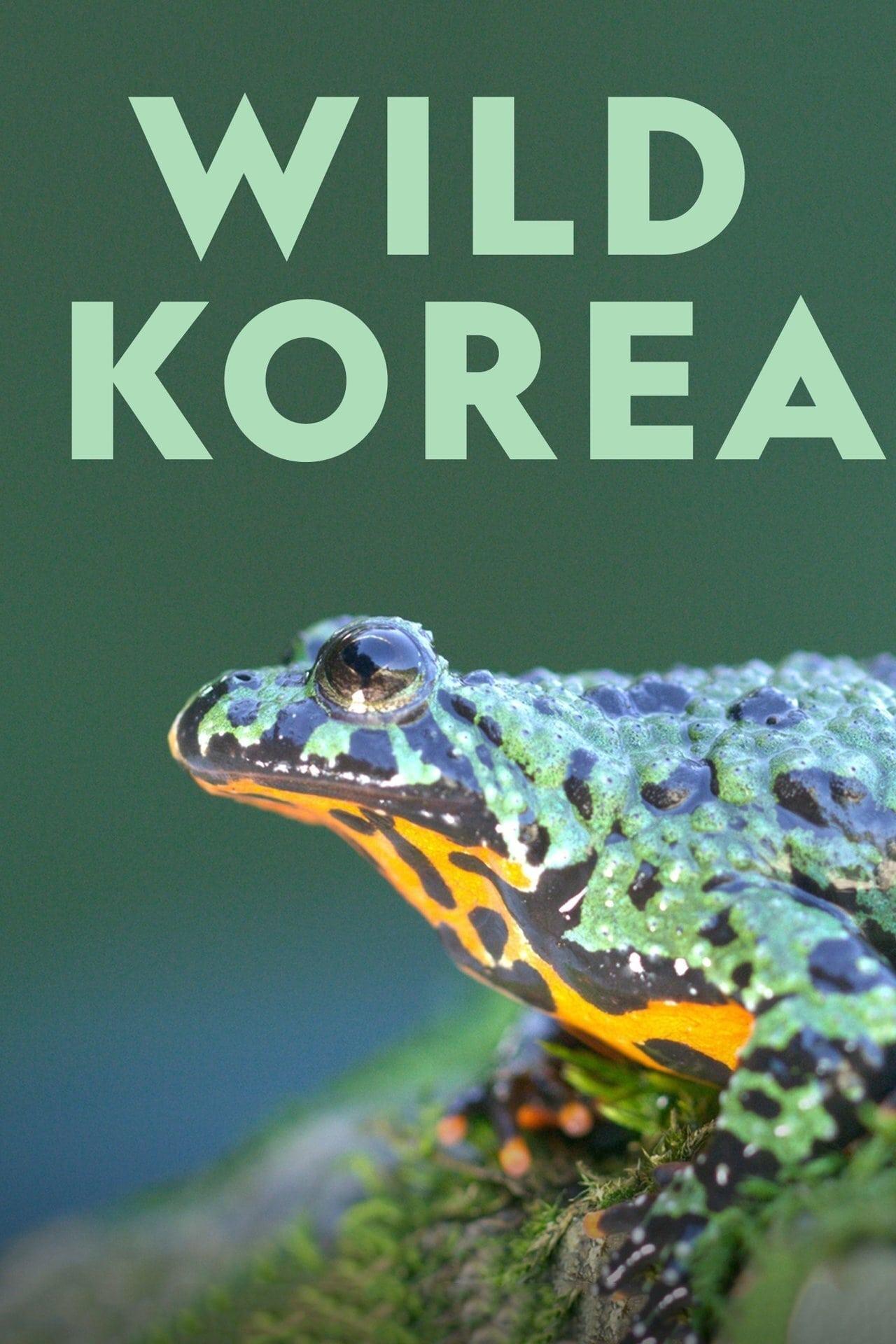 Wild Korea poster