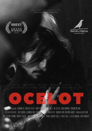 Ocelot poster