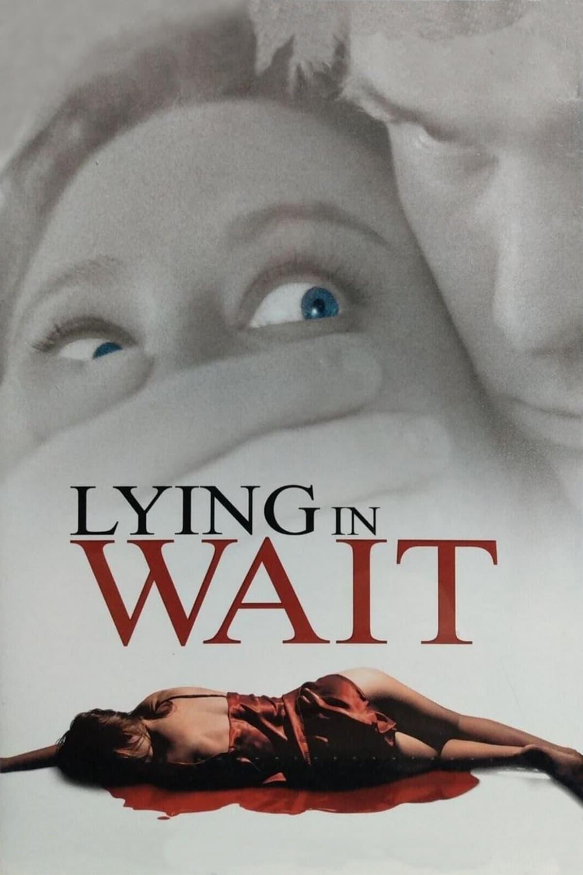 Lying in Wait poster