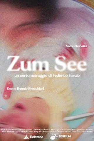 Zum See poster