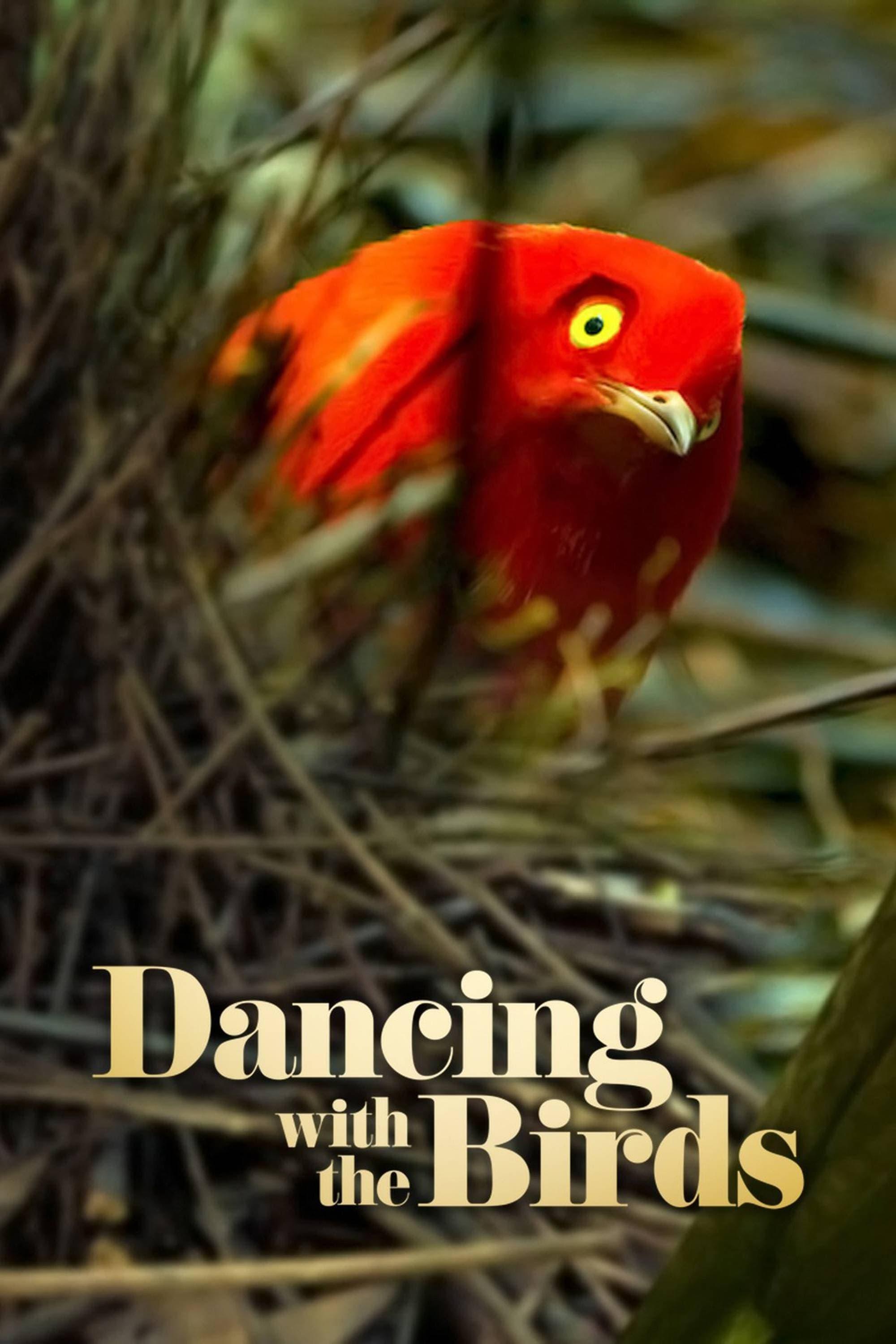 Dancing with the Birds poster