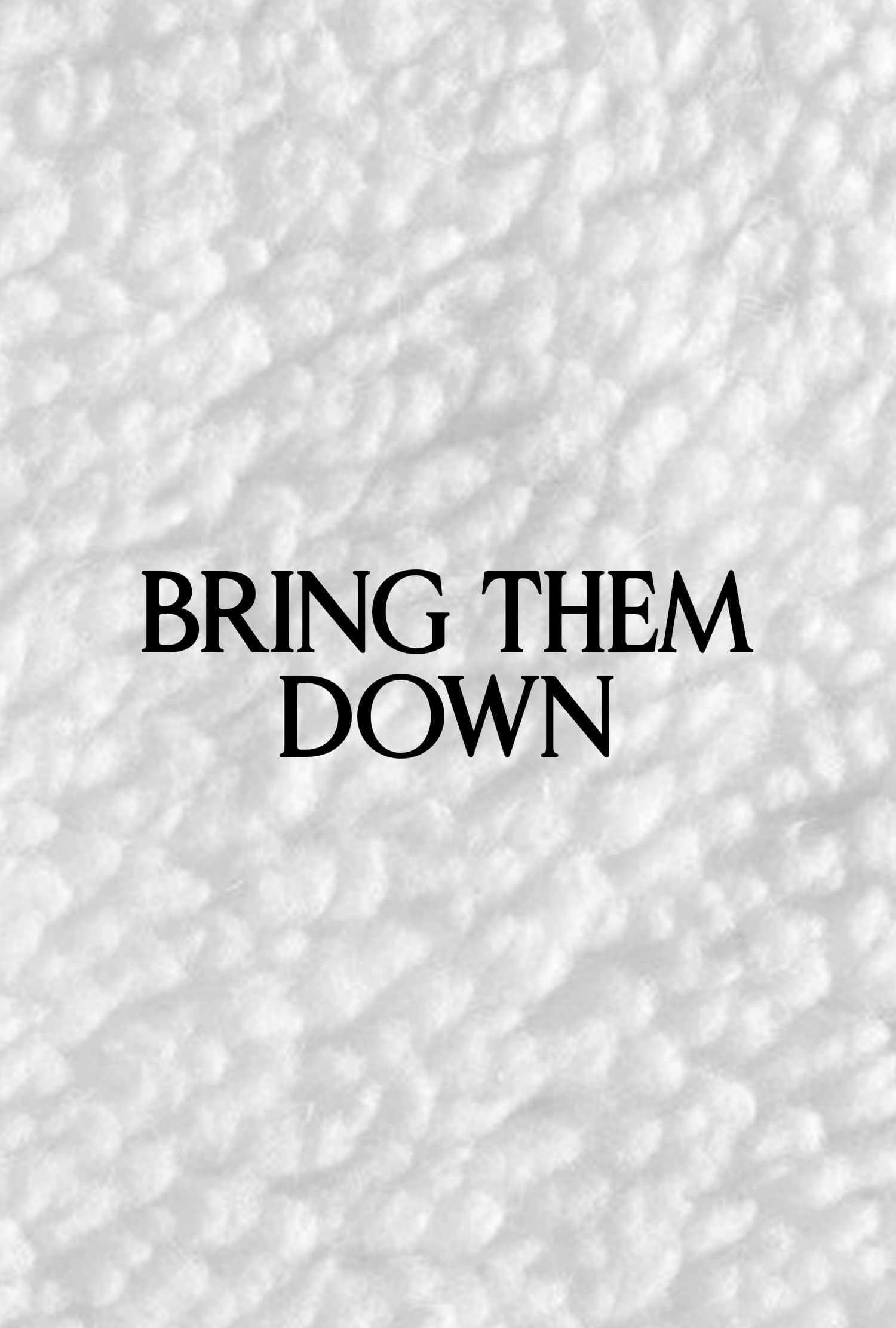 Bring Them Down poster