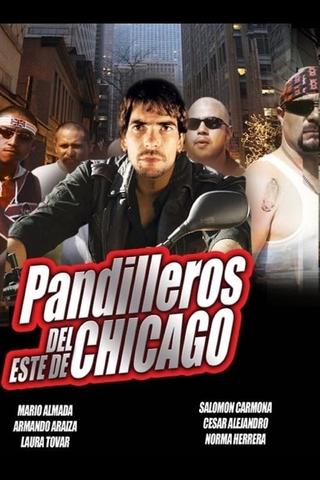 Chicago, pandillas salvajes poster