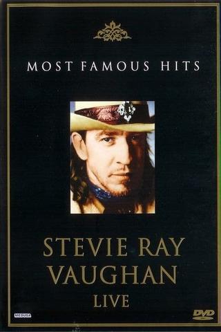 Stevie Ray Vaughan: Live poster
