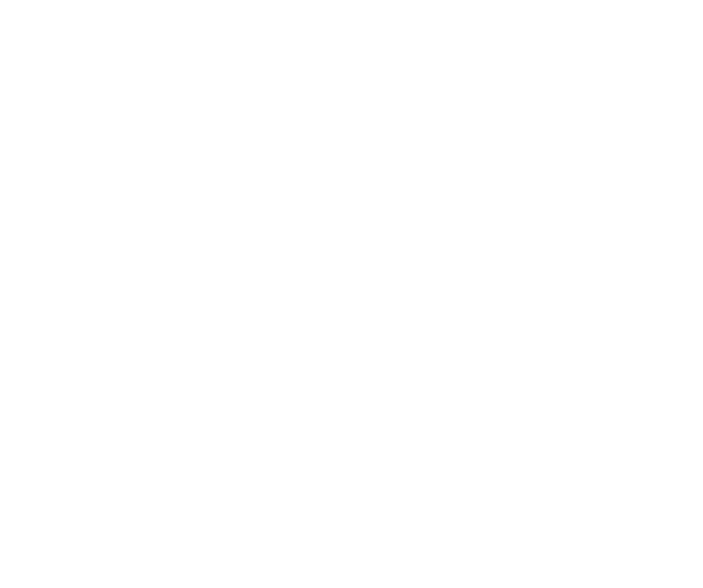 Viva Riva! logo