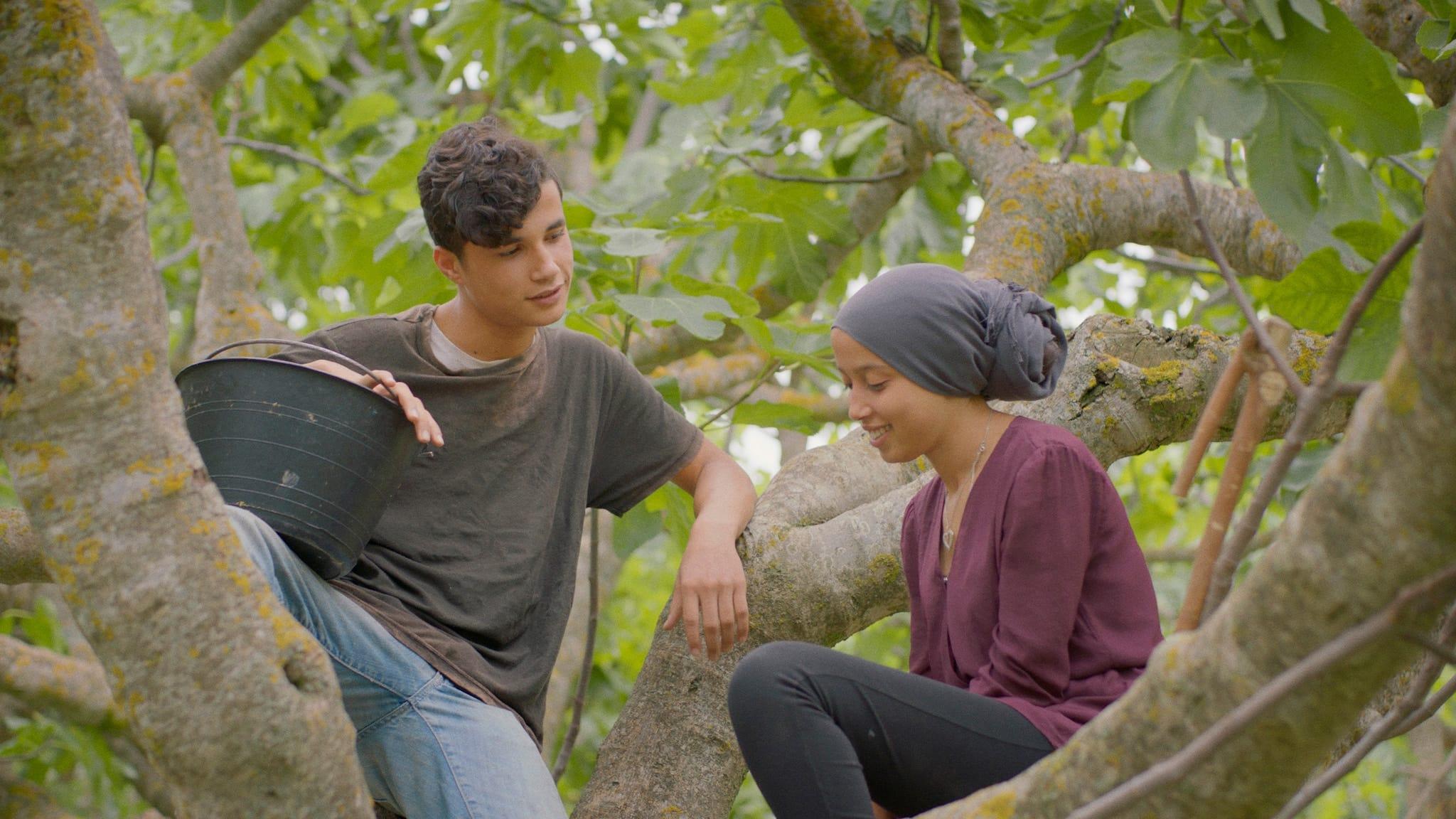 Under the Fig Trees backdrop