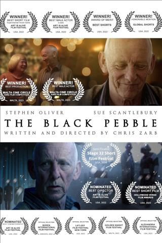 The Black Pebble poster