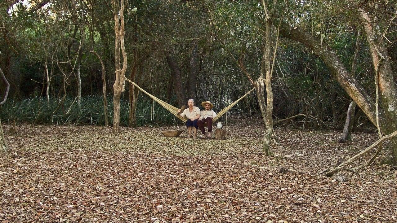 Paraguayan Hammock backdrop