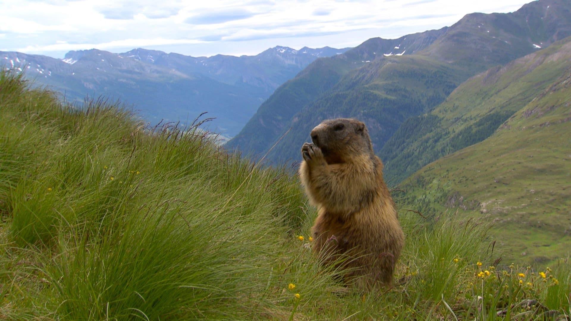 Naturparadiese mit Zukunft backdrop