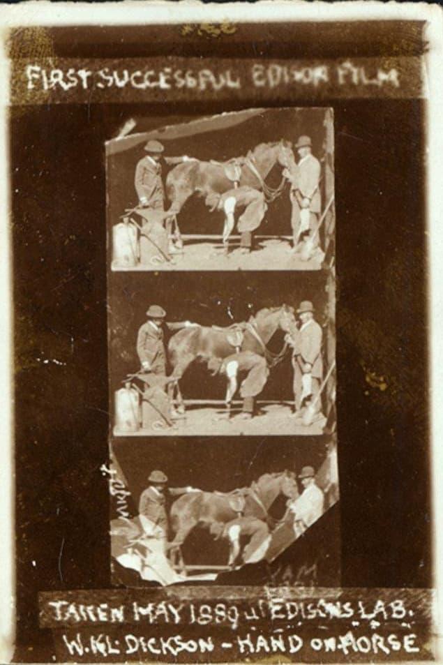 Horse Shoeing poster