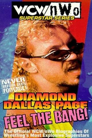 WCW/NWO Superstar Series: Diamond Dallas Page - Feel the Bang! poster