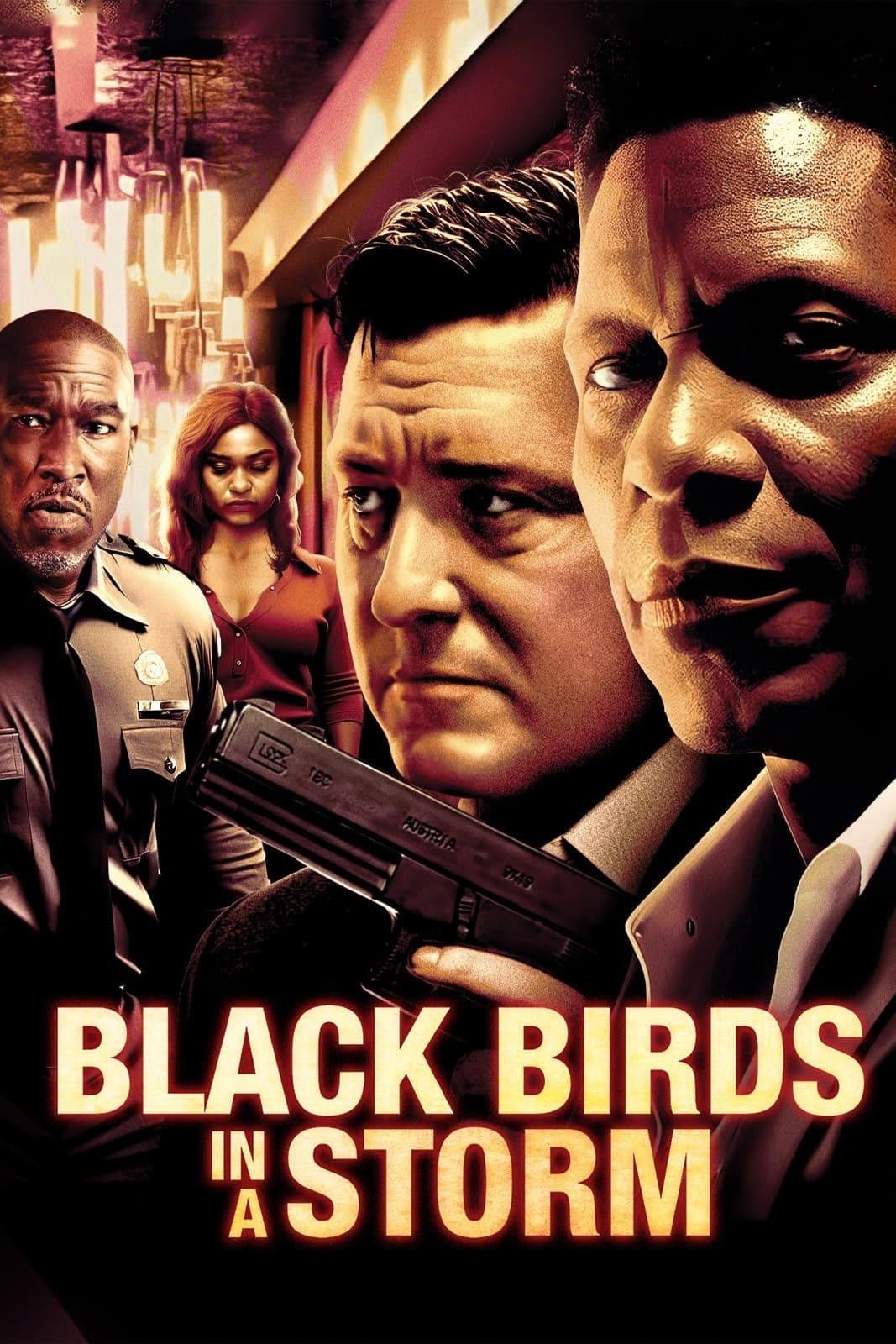 Black Birds in a Storm poster