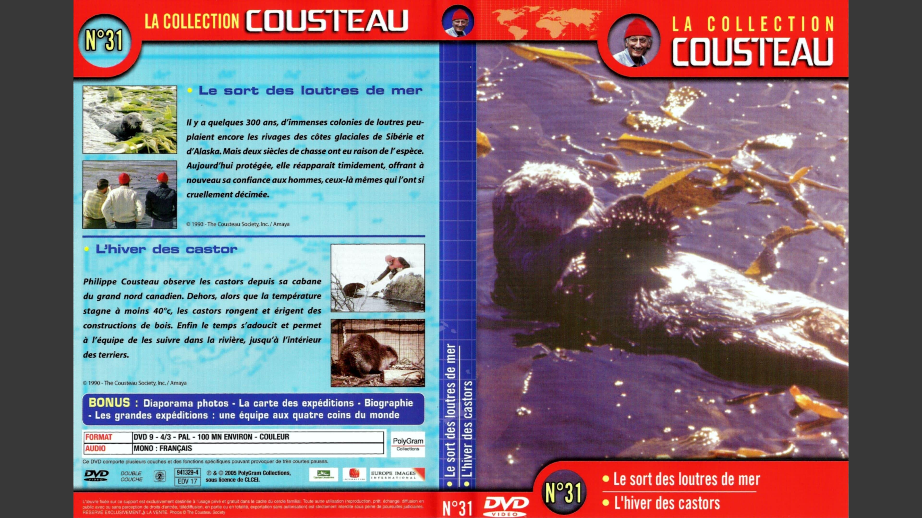 The Cousteau Collection N°31-1 | The Fate of Sea Otters backdrop