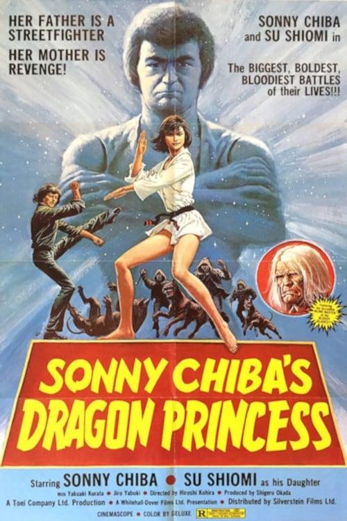 Dragon Princess poster