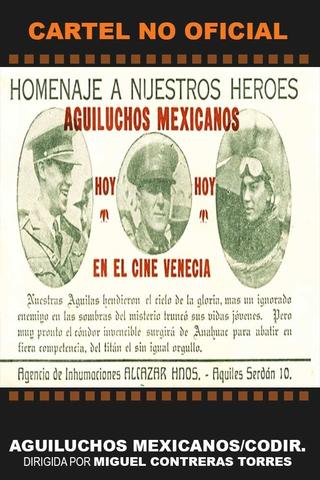 Aguiluchos mexicanos poster