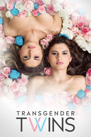 Transgender Twins poster