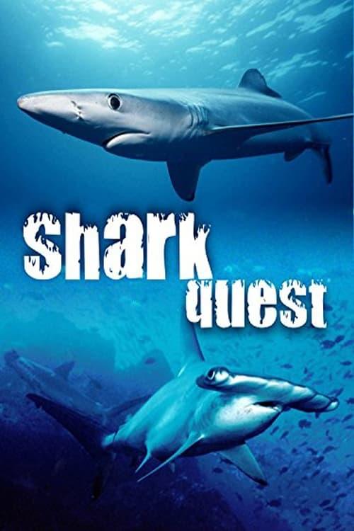 Shark Quest poster