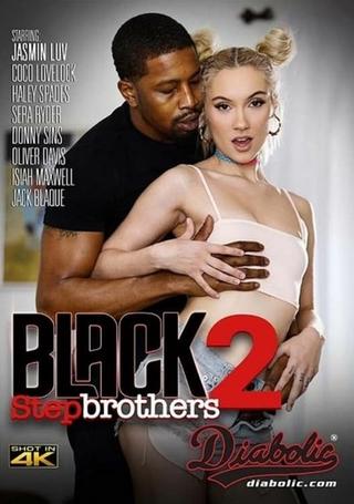 Black Stepbrothers 2 poster