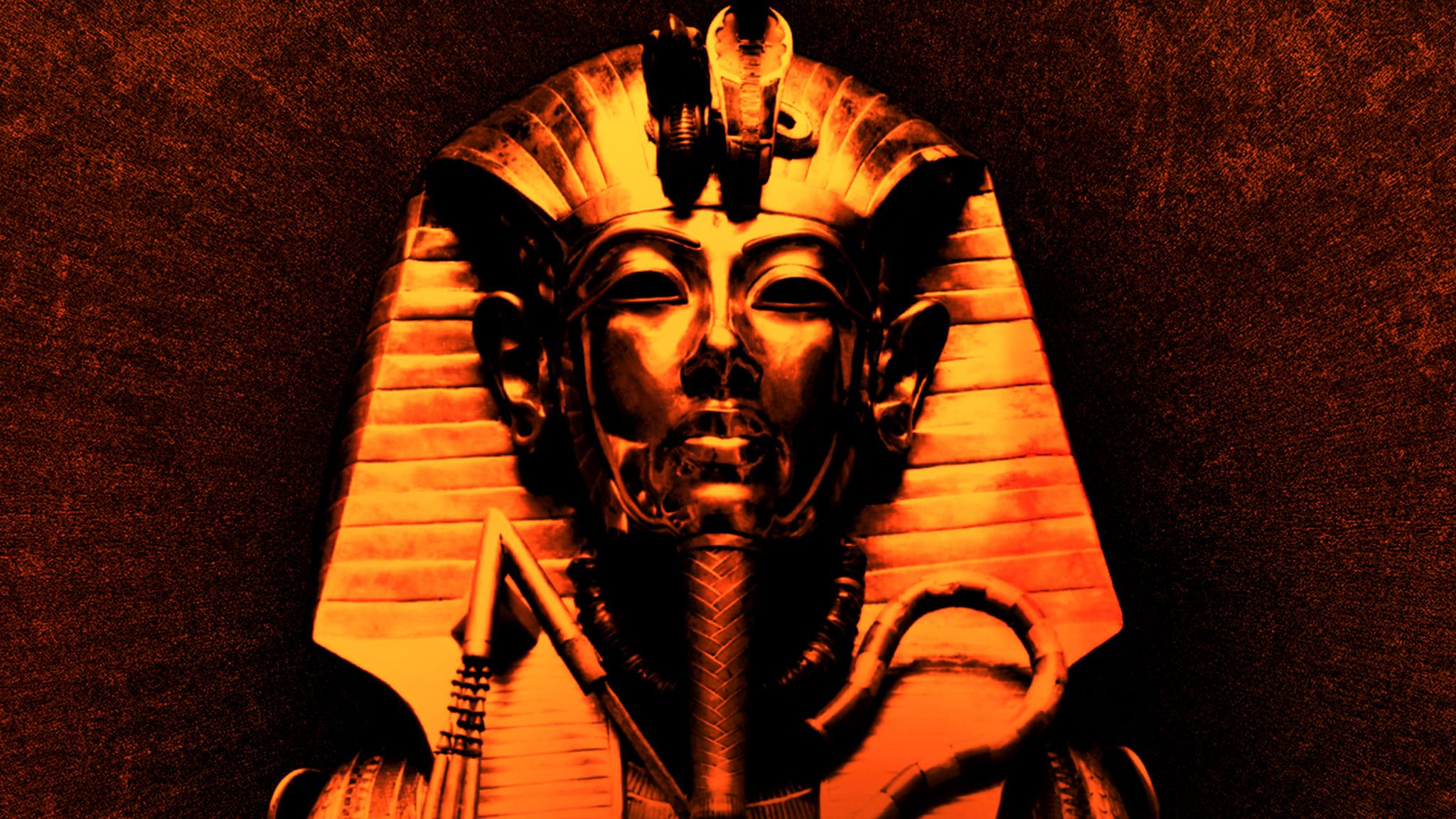 King Tut In Color backdrop