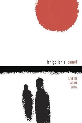 Camel: Ichigo Ichie - Live in Japan 2016 poster