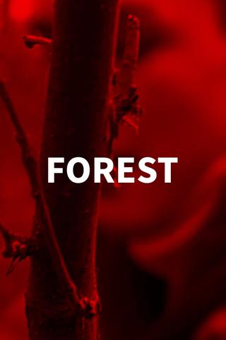 Forest poster