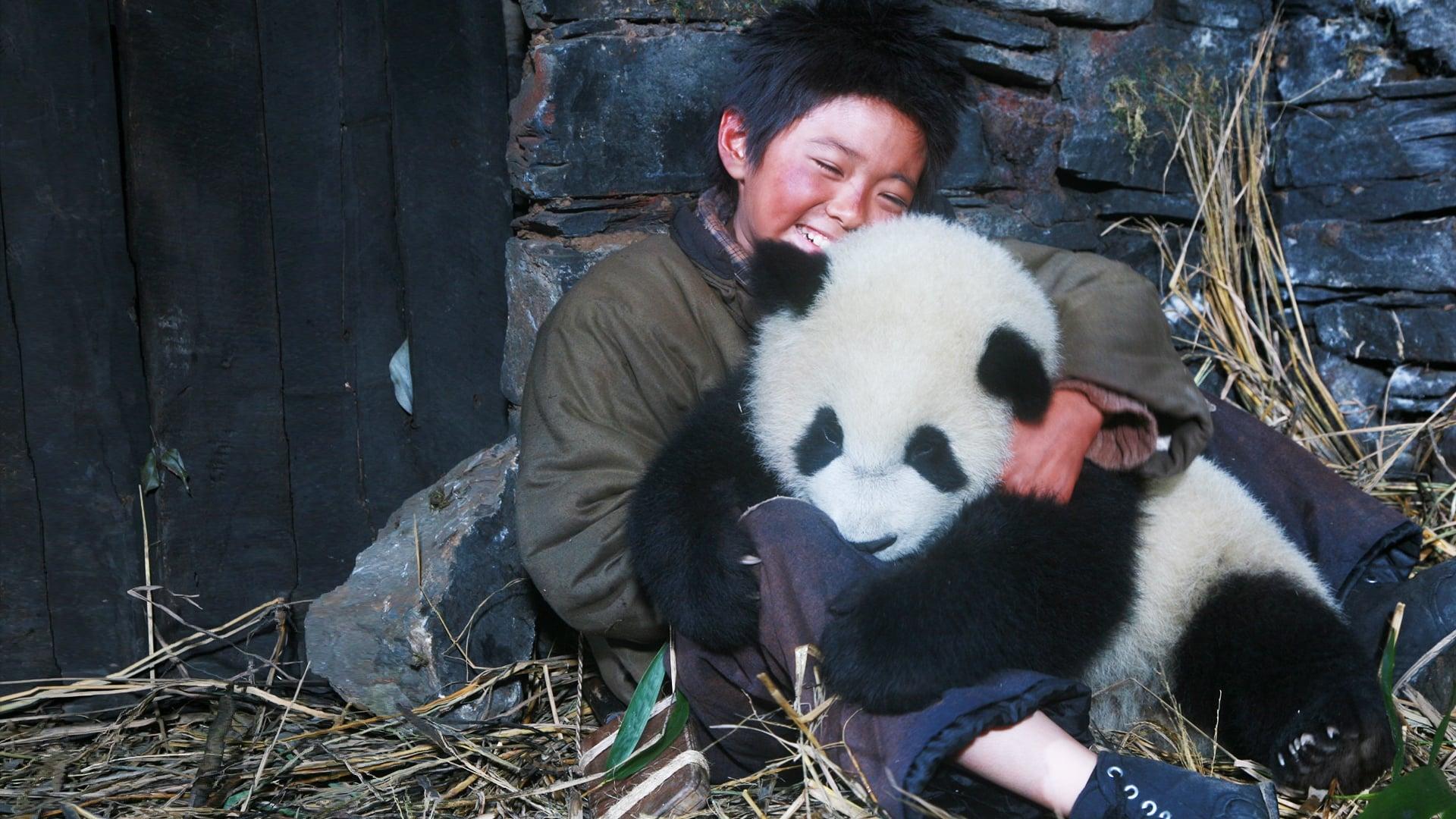 Trail of the Panda backdrop