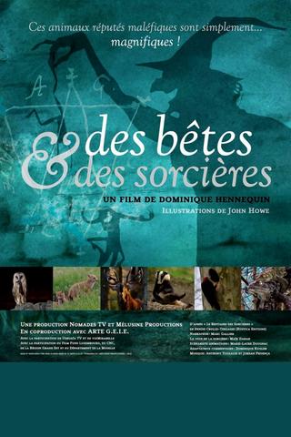 Des bêtes et des sorcières poster