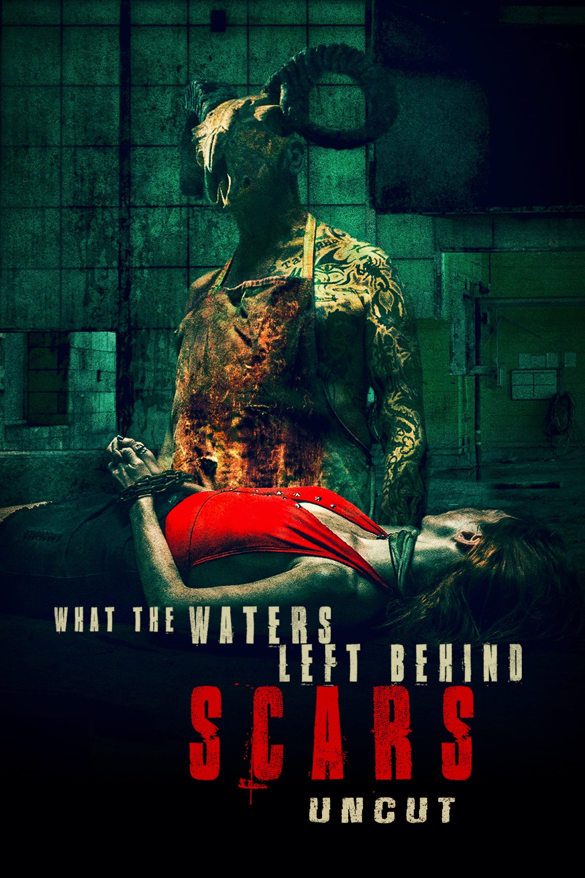 What the Waters Left Behind: Scars poster