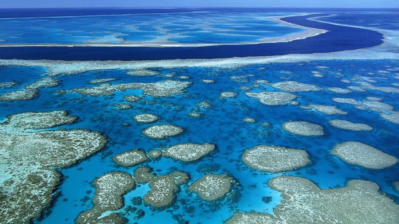 Billy Connolly's World Tour of Australia backdrop