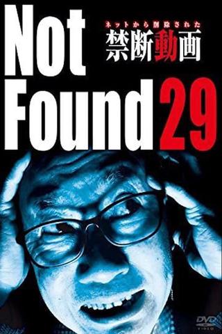 Not Found 29 poster