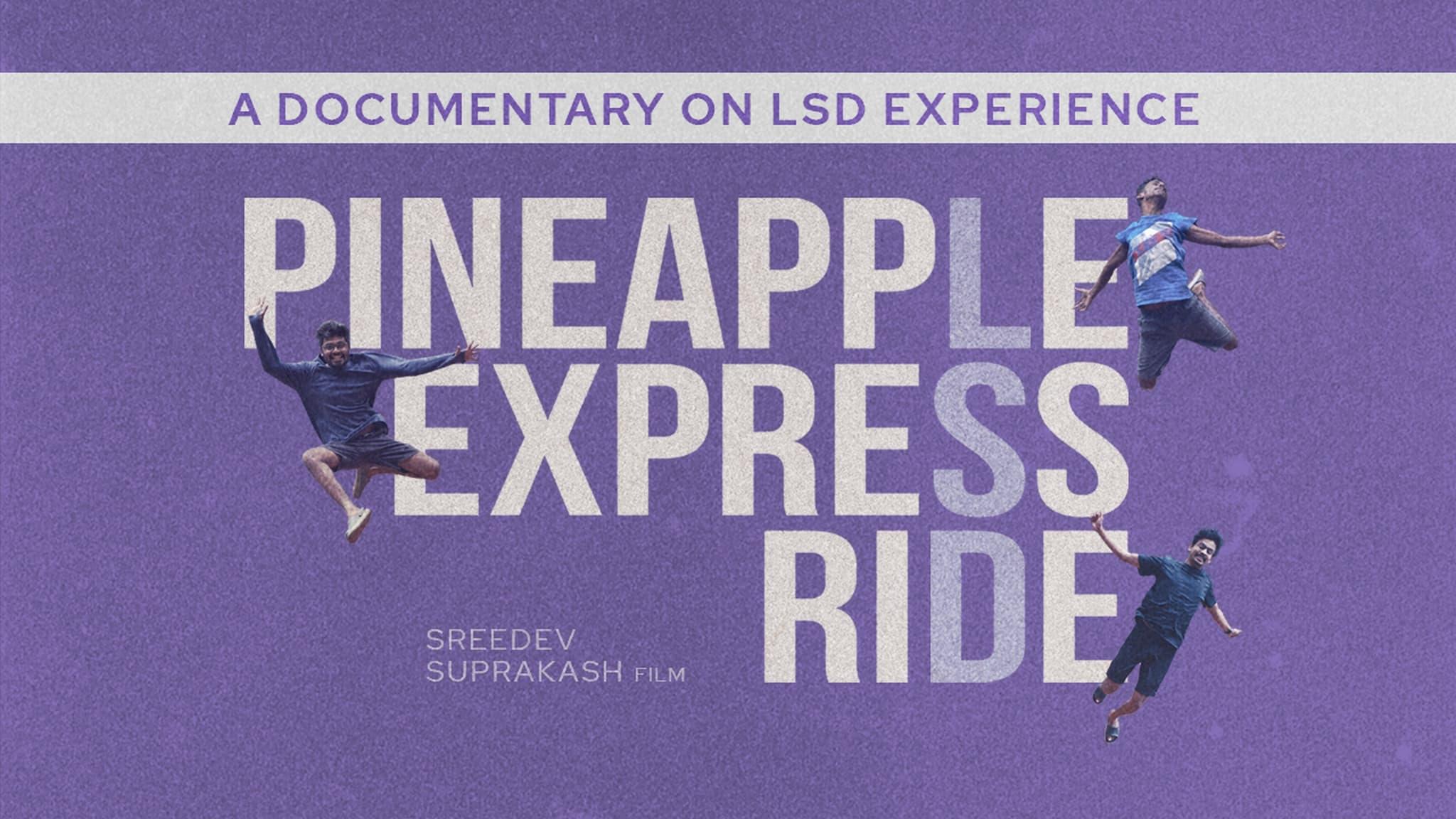 Pineapple Express Ride backdrop