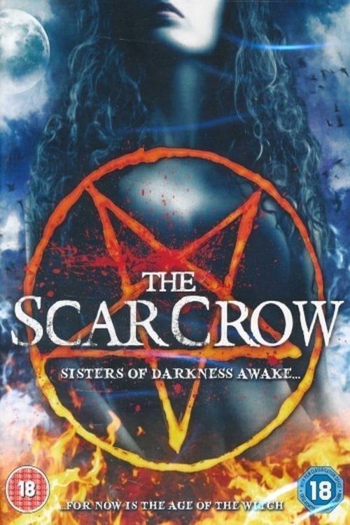 Scar Crow poster