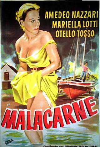 Malacarne poster