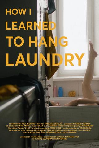 How I Learned to Hang Laundry poster