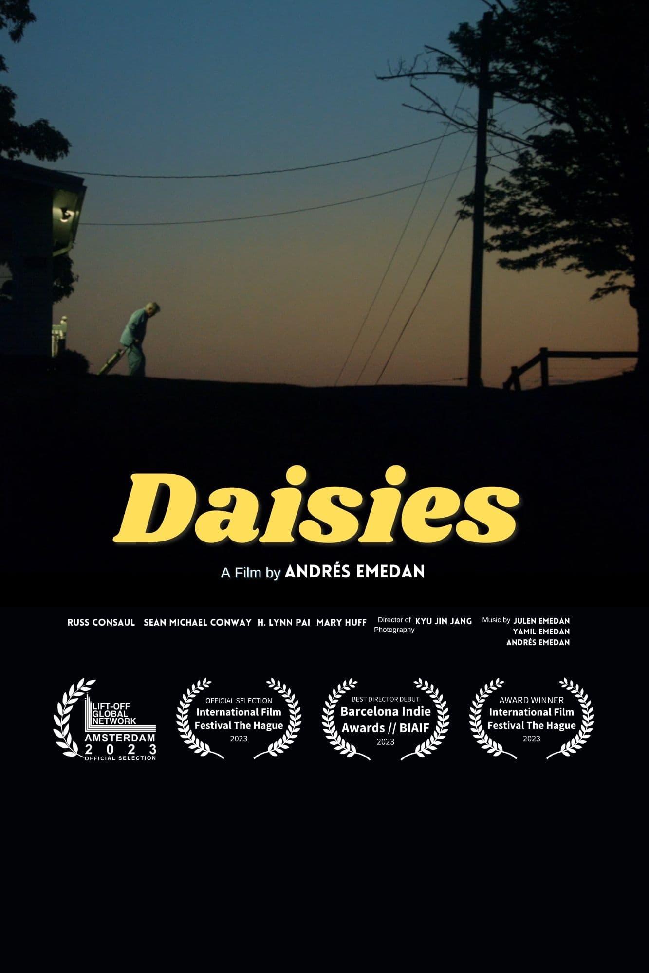 Daisies poster