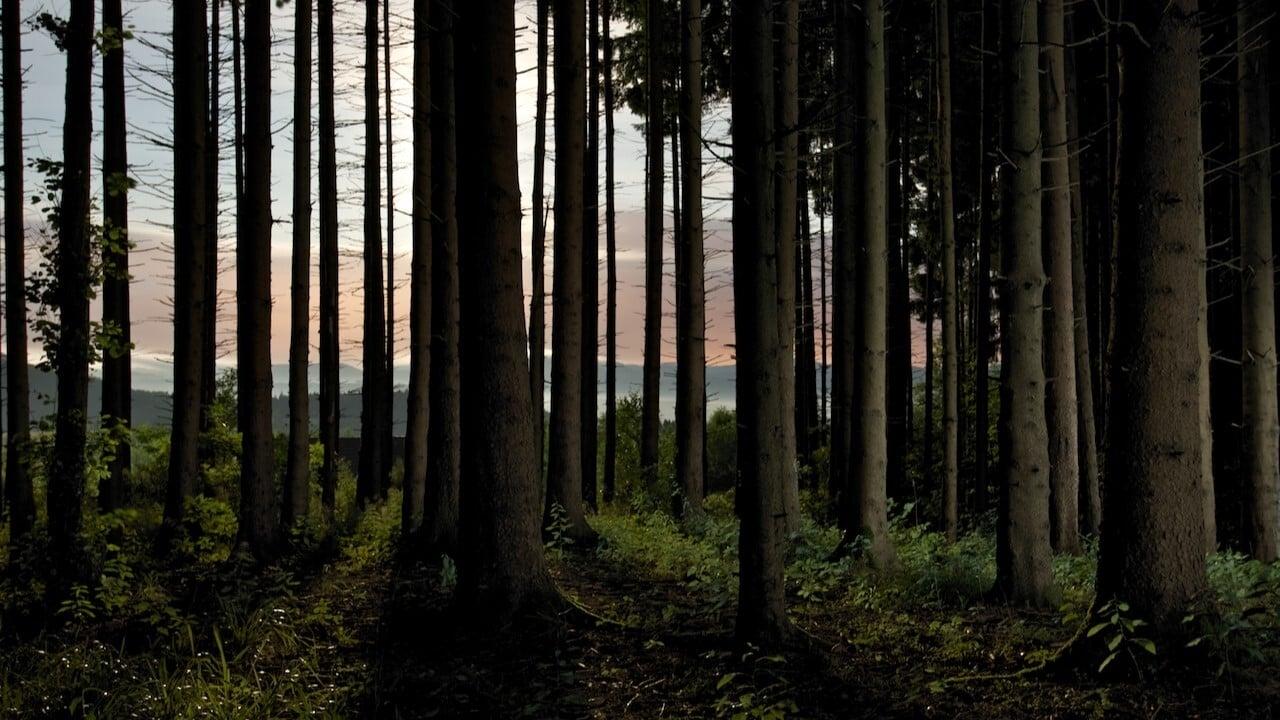 L'homme et la forêt backdrop
