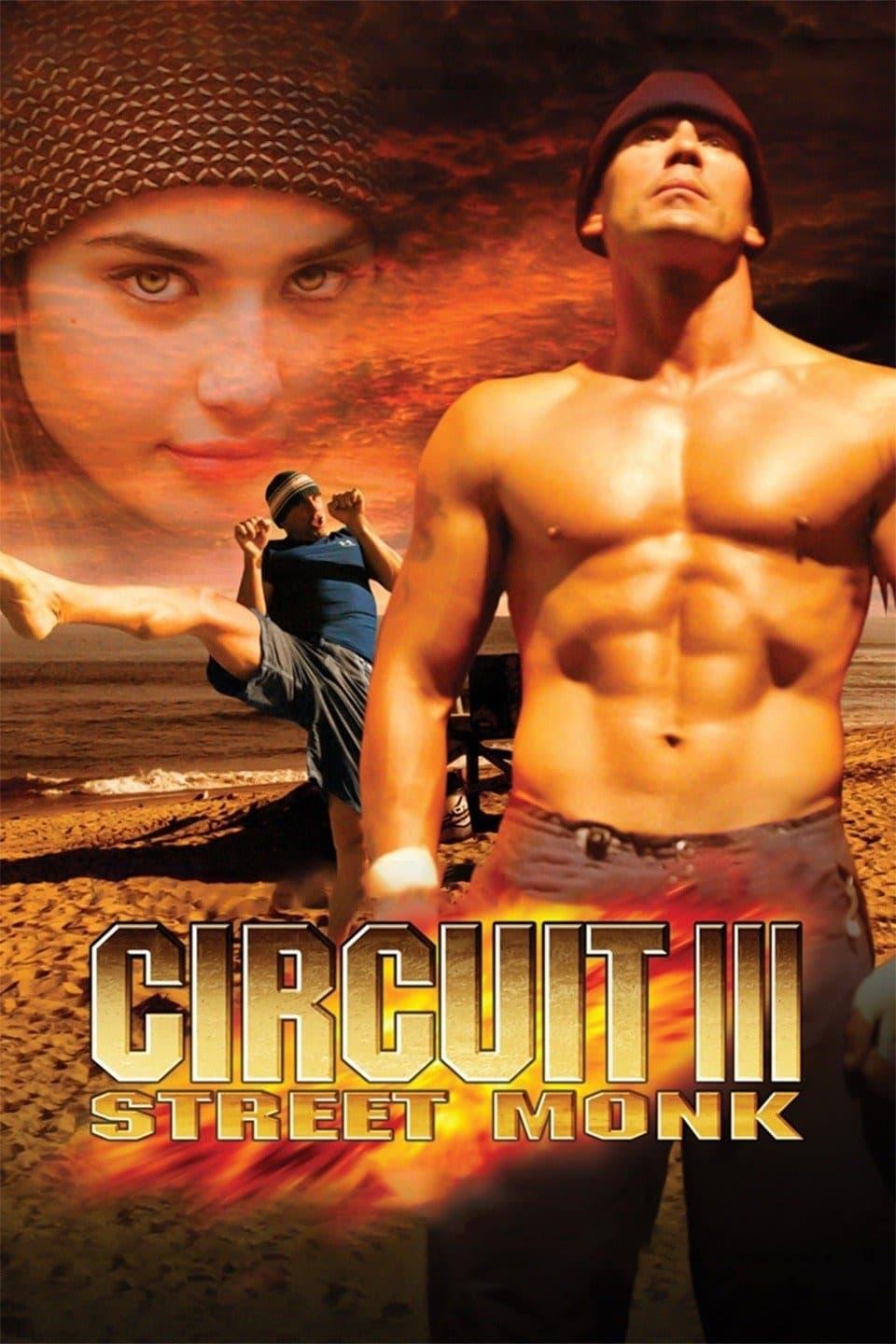 The Circuit III: Final Flight poster