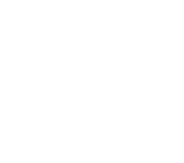 Five Nights in Maine logo